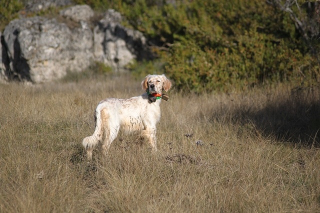 Fidji Du val de la vis