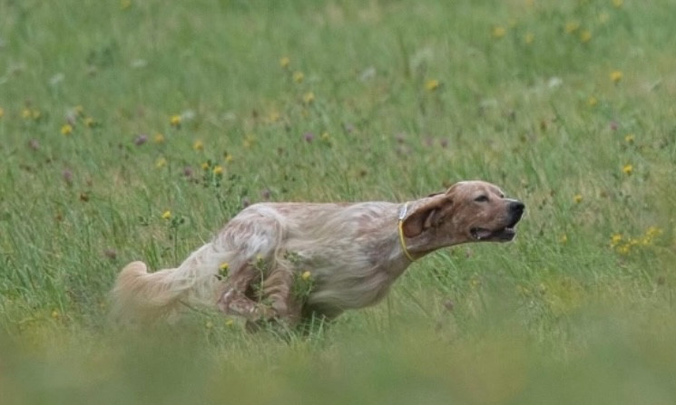 Ulk Des Berges De La Lergue